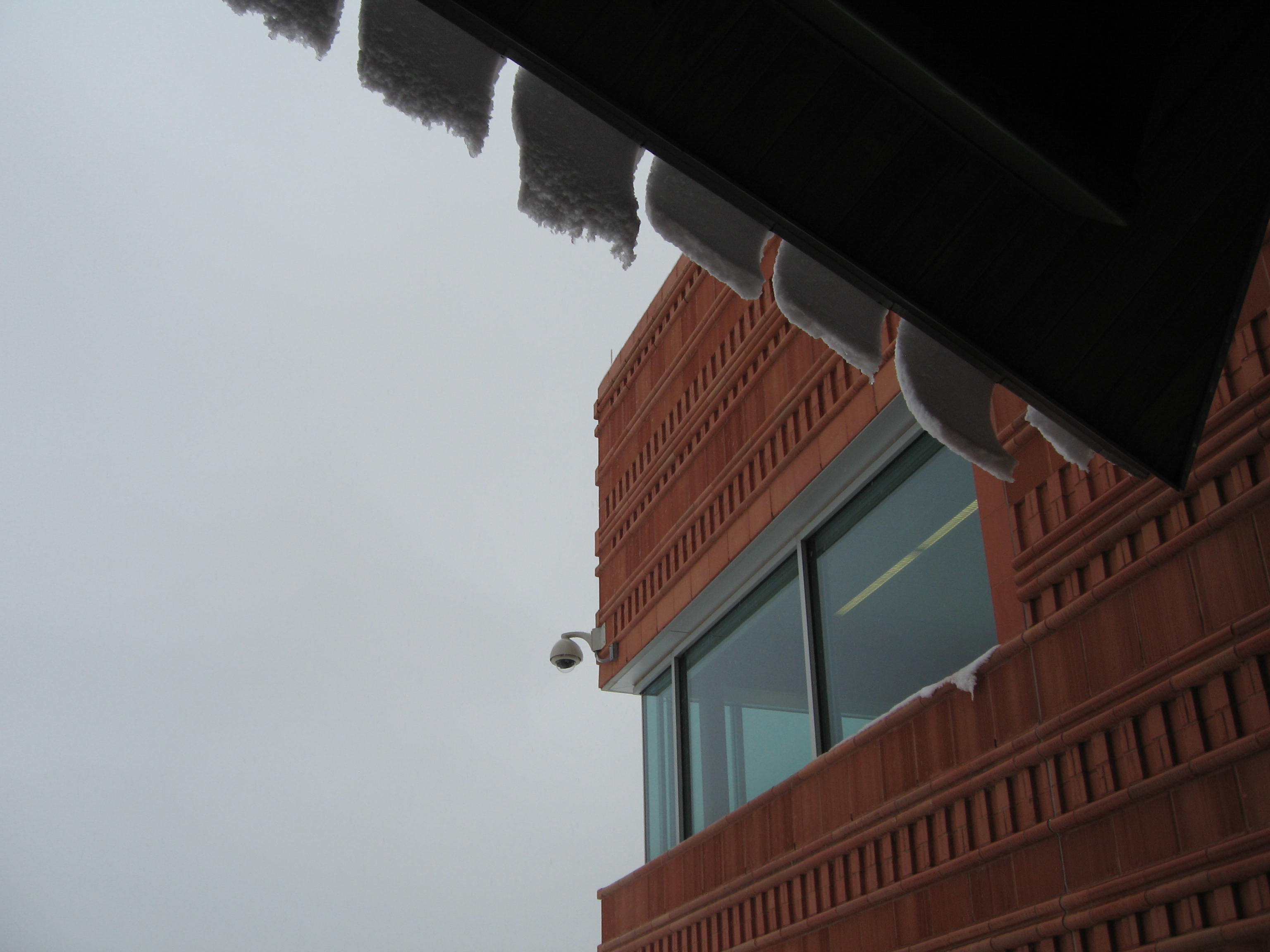 10.02.11 cedar hill snow scenes 020